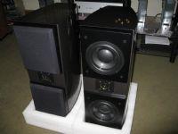 Acoustic Zen ADAGIO JR